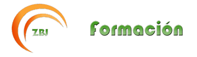 ZBJFormacion
